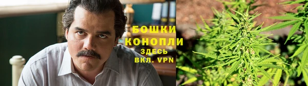 первитин Белокуриха