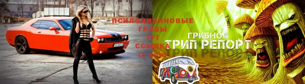 прущая мука Беломорск